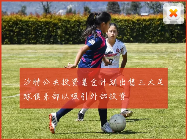 沙特公共投资基金计划出售三大足球俱乐部以吸引外部投资